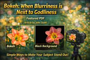 Best Article About Photographing Daylilies “Bokeh: When Blurriness is next to Godliness” by John Stahl – Spring 2016