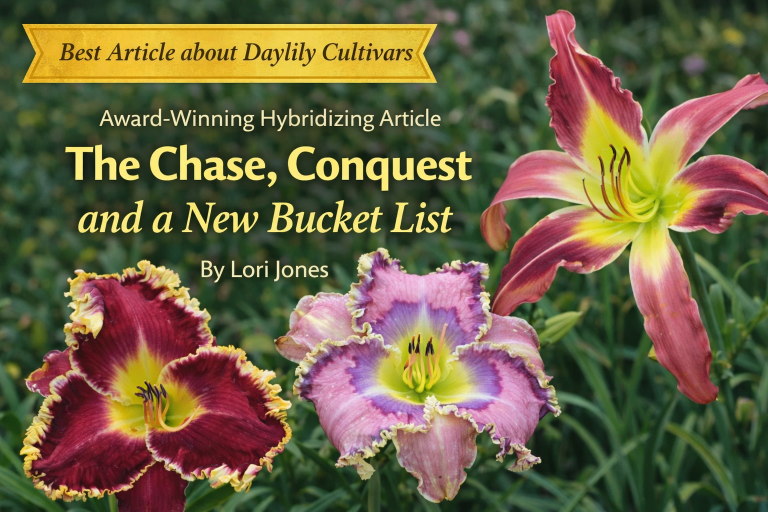 Best Article about Daylily Cultivars – Lori Jones – “The Chase, Conquest, A New Bucket List”- Spring 2018