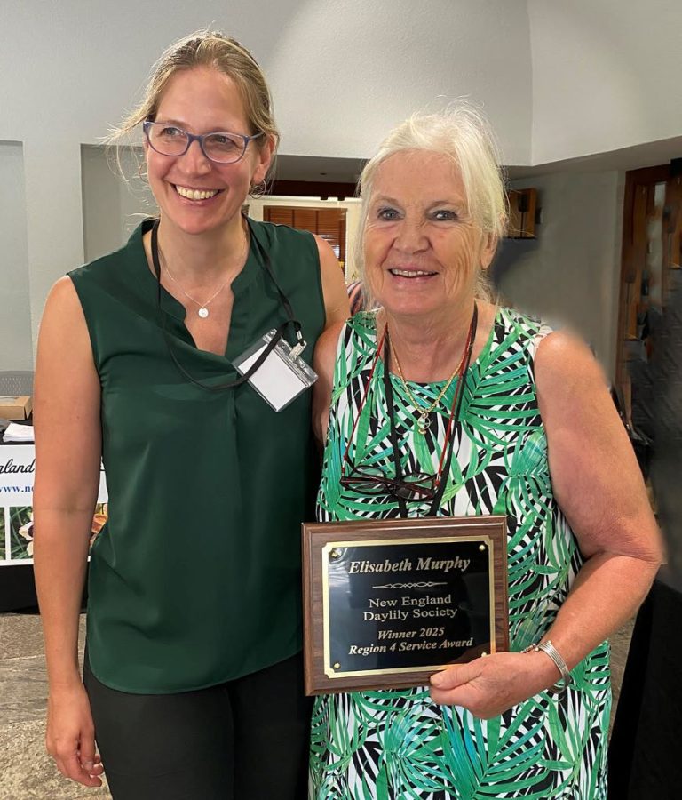 2025 ADS Region 4 Service Award: Lis Murphy at the Club Level