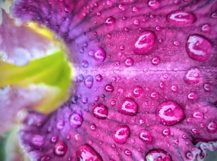 2024 Photo Contest