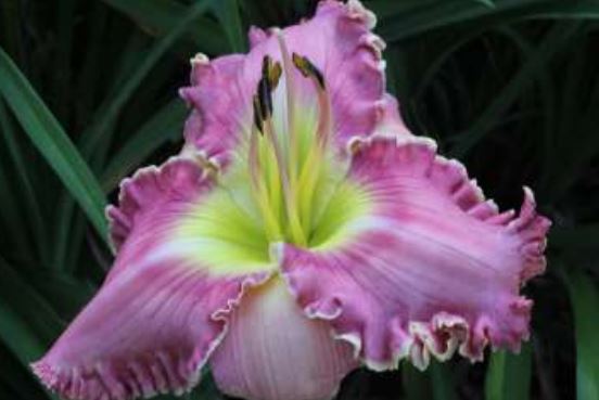 2023 Photo Contest