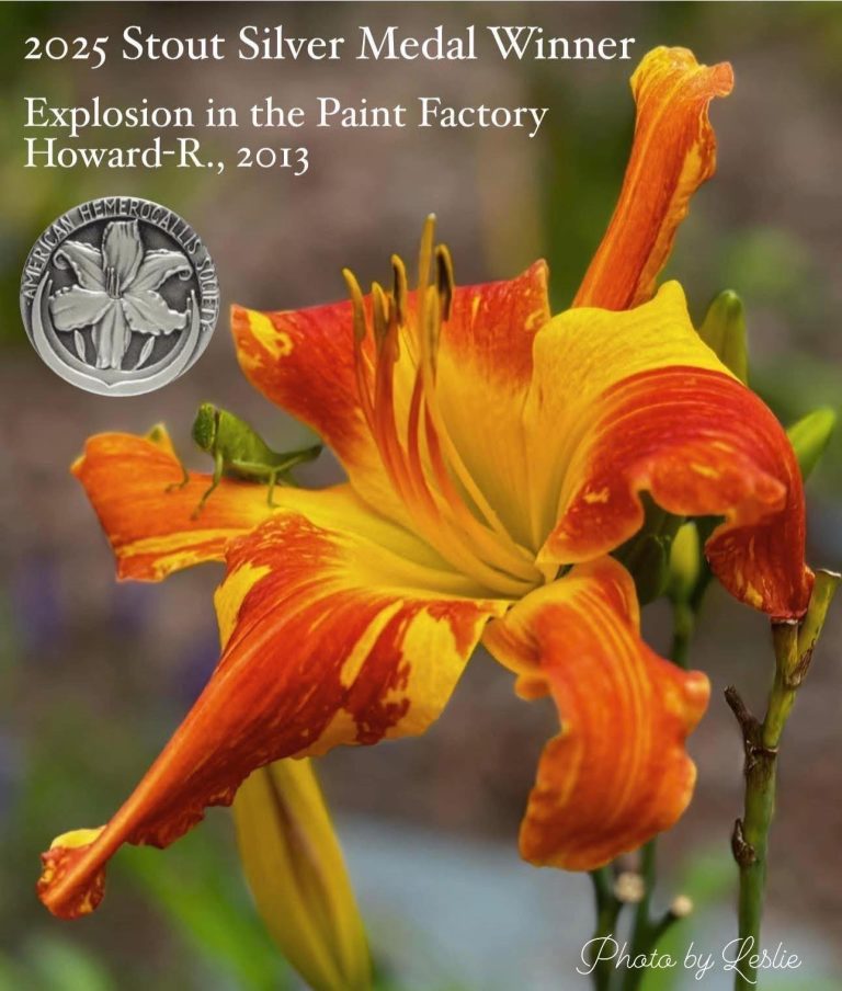 2025 Stout Silver Medal Award: Rich Howard – ‘Explosion in the Paint Factory’