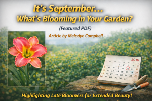 Best Article About Cultivars “It’s September… what’s blooming in your garden?” by Melodye Campbell – Winter 2016 Online