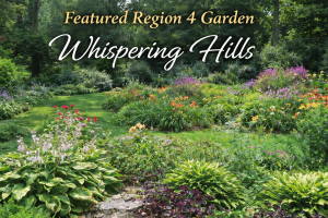 Best Article Demonstrating a Specific Aspect of Garden Design “Featured Region 4 Garden – Pat Sayers” by Pat Sayers – Spring 2015