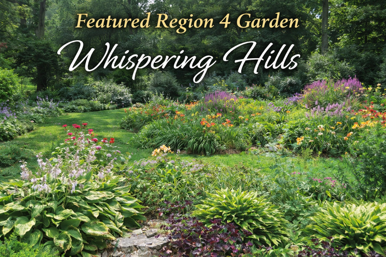 Best Article Demonstrating a Specific Aspect of Garden Design “Featured Region 4 Garden – Pat Sayers” by Pat Sayers – Spring 2015