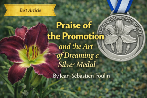 Best Article – Jean-Sebastien Poulin – “Praise of the Promotion or the Art of Dreaming a Silver Medal” – Spring 2018