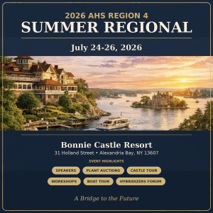 2026 AHS Region 4 Summer Regional Ticket