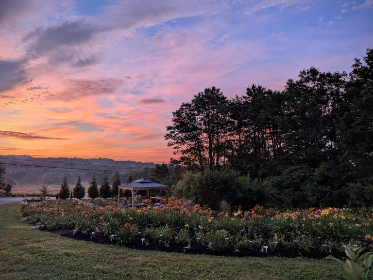 2026 Mildred Schlumpf Landscape Photography Award: Patrick Dooley